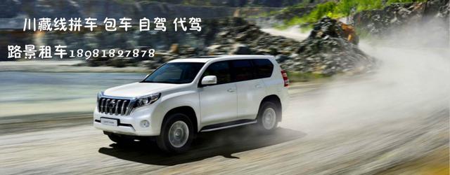 旅游租車(chē)展示車(chē)型