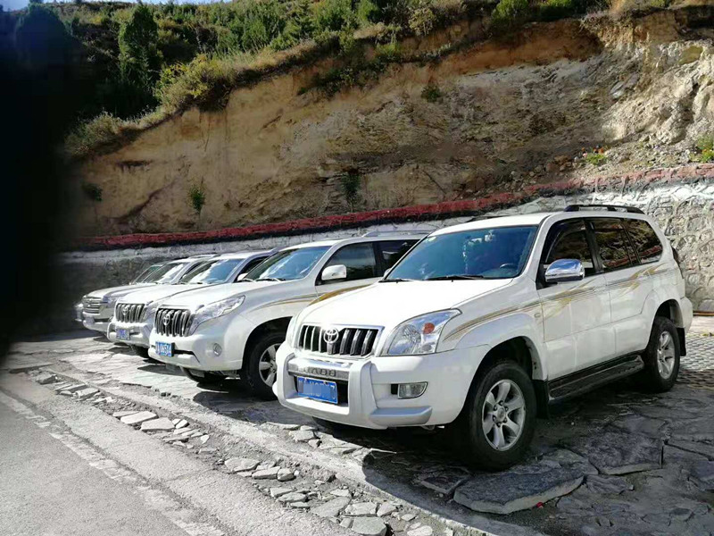 成都春節租車