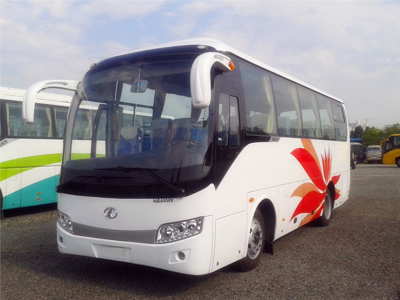 成都租旅游大巴車